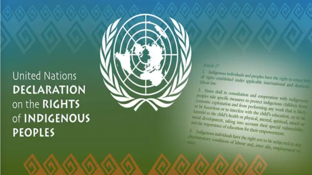 UN.Declaration.on.the.Rights.of Indigenous.Peoples Nightingale